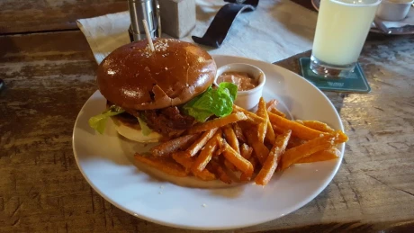Fotka hamburger a Hranolčeky