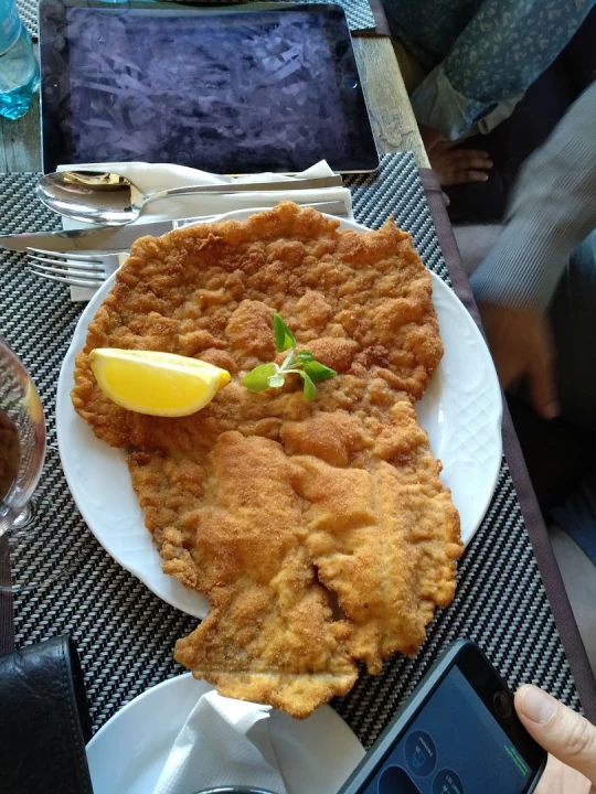 Fotka Viedenský rezeň