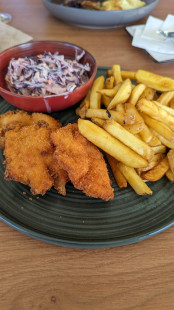 Fotka Kuracie strip's s hranolkami a coleslaw