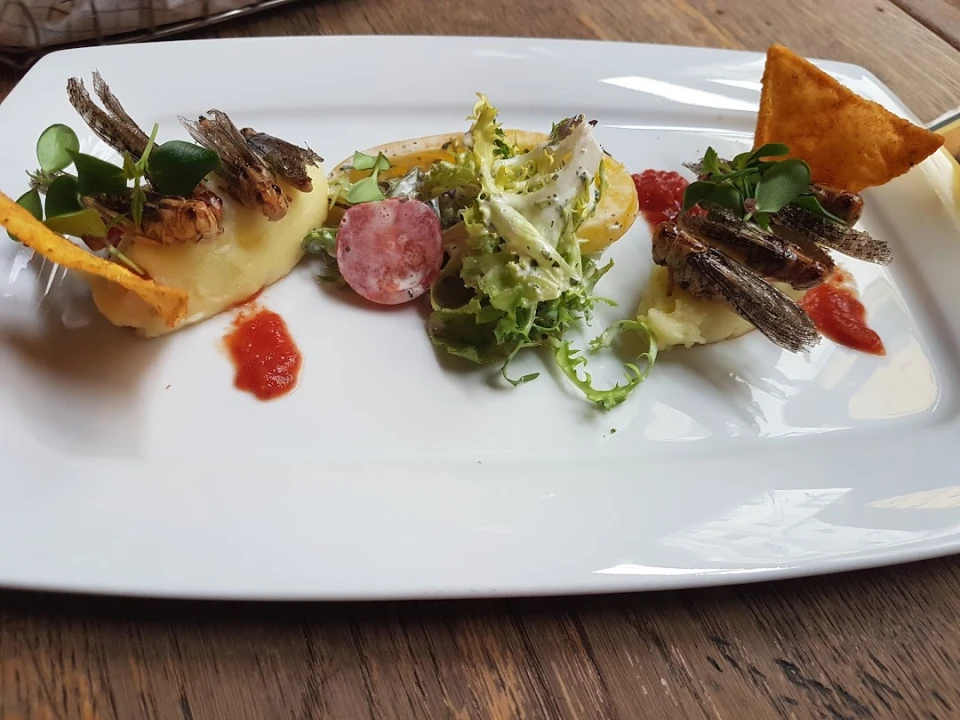 Fotka Polenta