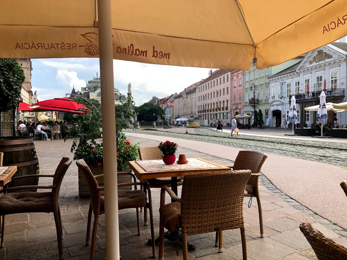 Med Malina