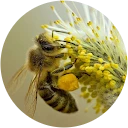 Autor hodnotenia Pavol Repa