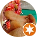 Autor jedla Pulled pork