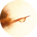 Autor hodnotenia Duran X