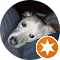 Autor hodnotenia Noobybuby Logos