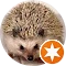 Autor hodnotenia Dana Palacková
