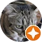 Autor hodnotenia Enzedgasman
