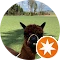 Autor hodnotenia Happy Ox