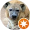 Autor hodnotenia KaZaN van Hyena
