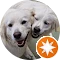 Rexa & Belka