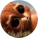 Ikona užívateľa
