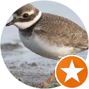 Ikona užívateľa