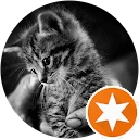 Autor hodnotenia Silvúšik Sisi