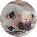 Autor hodnotenia DEYNA