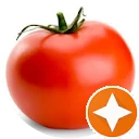 Ikona užívateľa