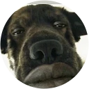 Ikona užívateľa