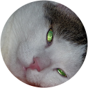 Autor hodnotenia Gabika Nespešná