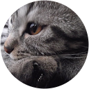 Autor hodnotenia Dagmara Kovalinková